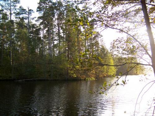 Idyllischer See in Lettland (100_0923.JPG) wird geladen. Eindrucksvolle Fotos aus Lettland erwarten Sie.